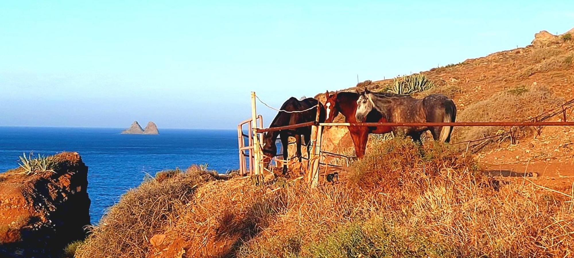 Casa Tucho Paraiso Sea Sound Санта-Крус-де-Тенерифе Экстерьер фото